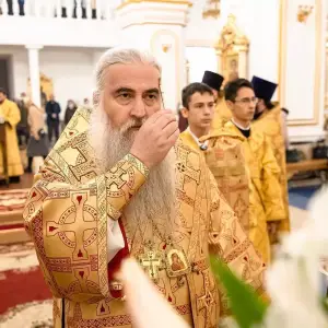 AGR_9861 копия
