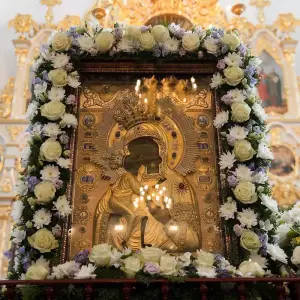 AGR_0437 копия