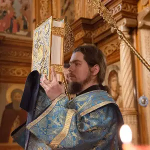 AGR_4231 копия