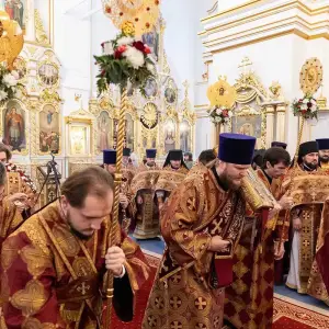 AGR_4955 копия