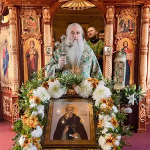 AGR_5308 копия