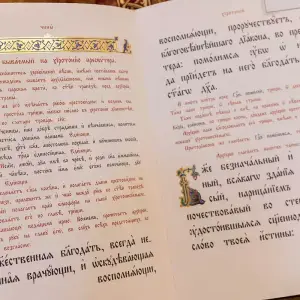 AGR_5979 копия