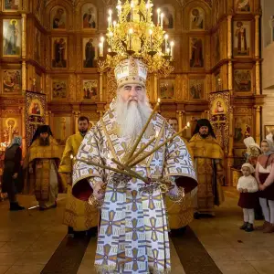 AGR_6233 копия