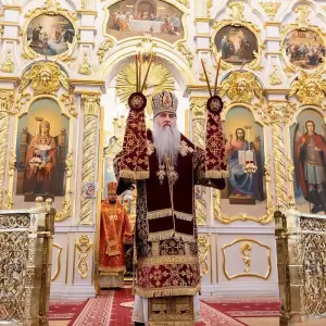 AGR_6451 копия