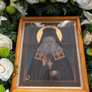 AGR_8389 копия