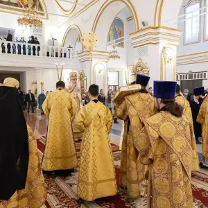 AGR_0741 копия