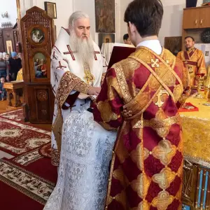 AGR_3531 копия