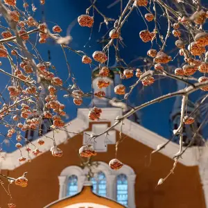 AGR_4267 копия