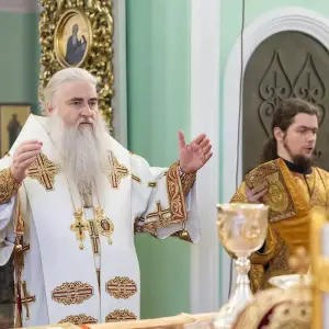 AGR_5000 копия