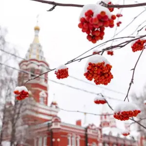 AGR_5290 копия