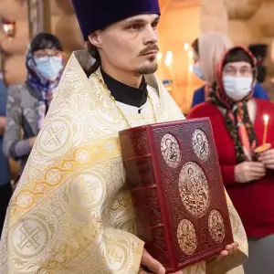 AGR_7110 копия