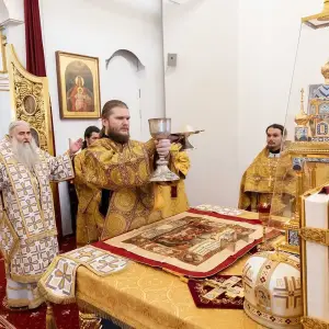 AGR_7492 копия