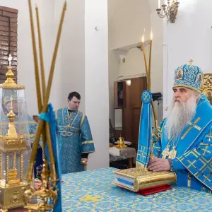 AGR_7695 копия