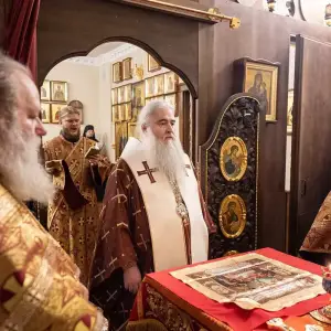 AGR_8517 копия