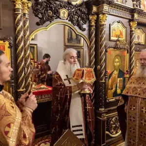 AGR_8766 копия