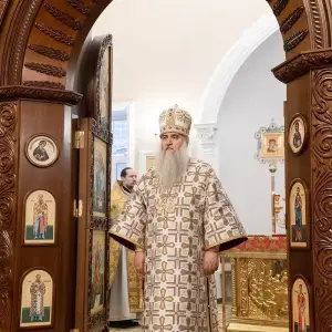 AGR_9533 копия