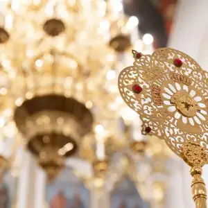 AGR_9624 копия