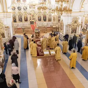 AGR_9886 копия