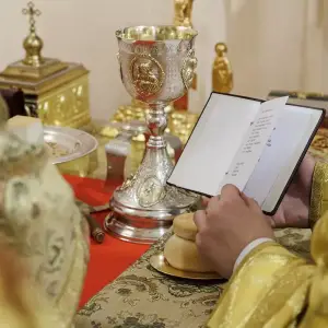 AGR_0309 копия