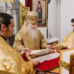 AGR_0608 копия