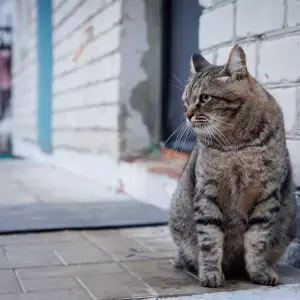 AGR_1592 копия