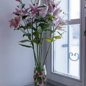 AGR_3167 копия