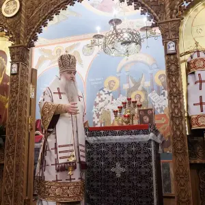 AGR_3241 копия