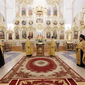 AGR_3981 копия