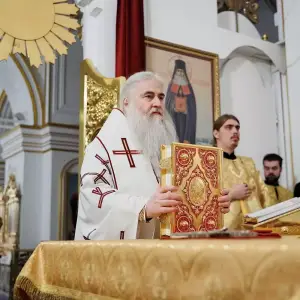 AGR_4235 копия