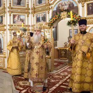 AGR_6636 копия