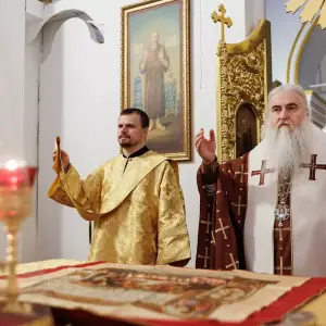AGR_7309 копия
