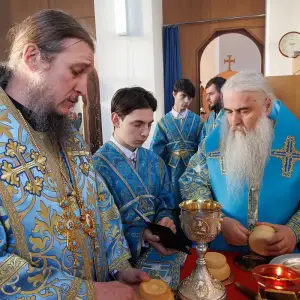 AGR_7719 копия