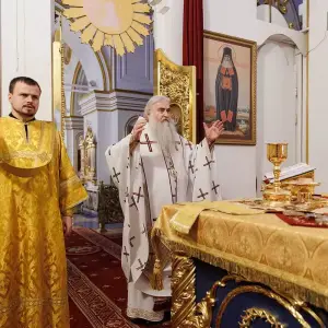 AGR_8334 копия