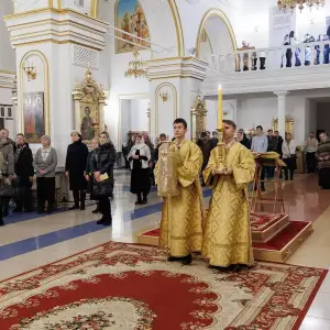 AGR_8658 копия