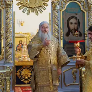 AGR_9337 копия