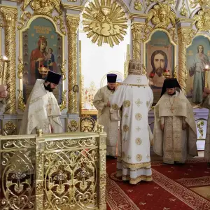 AGR_9560 копия