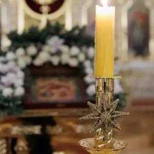 AGR_0227 копия
