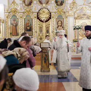 AGR_0379 копия