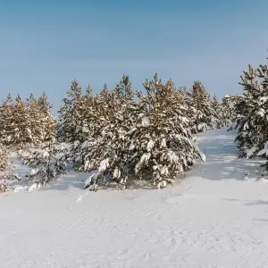 AGR_0864 копия