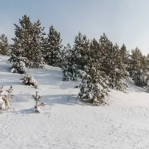 AGR_0875 копия