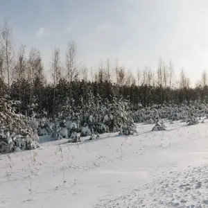 AGR_0926 копия