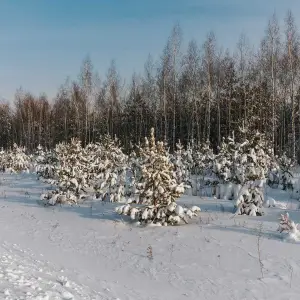 AGR_0933 копия