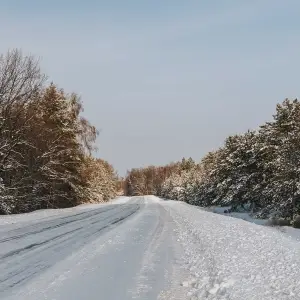 AGR_0959 копия