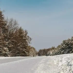 AGR_0984 копия