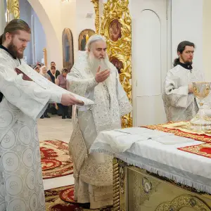 AGR_1546 копия