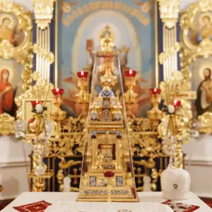 AGR_2539 копия
