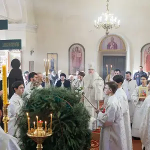 AGR_3239 копия