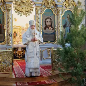 AGR_3799 копия