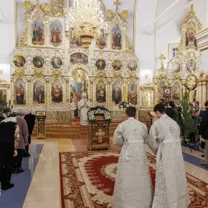 AGR_5098 копия