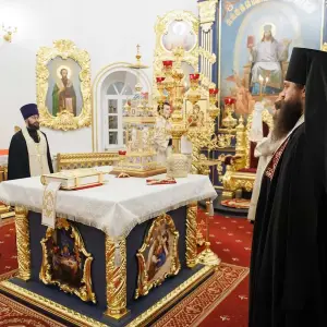 AGR_5131 копия